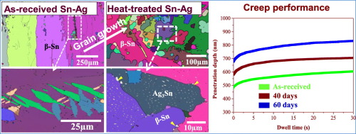 The metallographic structure of Sn-37Pb alloy